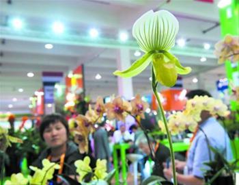 2017國際家庭花卉園藝展覽會在常開幕