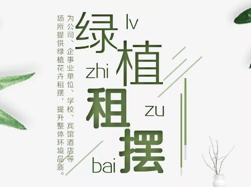 【慶?！款簣@藝家推出綠植租擺業(yè)務(wù)！